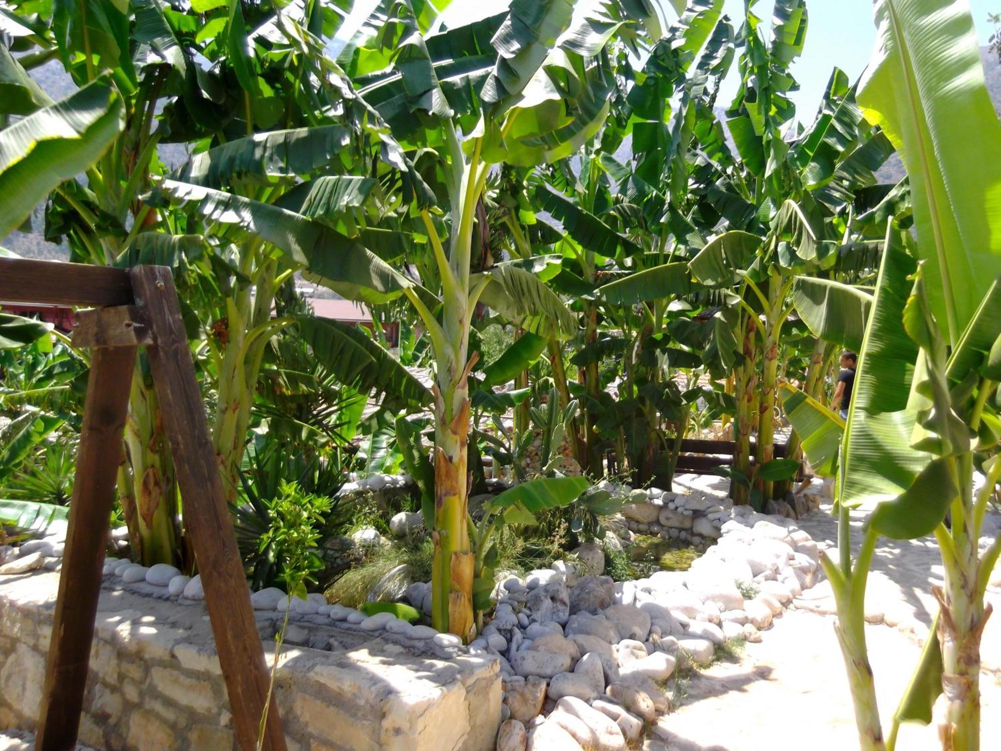 Stone Village Hotel Apartments Bali  Bagian luar foto